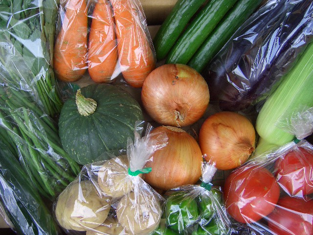 有機野菜 果物 無農薬野菜 販売 愛知県 野菜の保存
