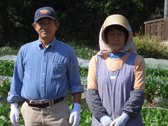 有機野菜 果物 特産品 通販 愛知県 野菜保存