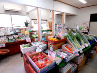 有機野菜 果物 特産品 通販 愛知県 野菜保存