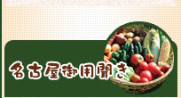 有機野菜 果物 無農薬野菜 販売 愛知県 野菜の保存